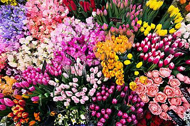 Wakanda Forever！《漫威复仇者》“黑豹：瓦坎达之战”直播活动开启