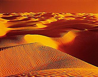 2K Games《WWE 2K22》9分钟实机演示